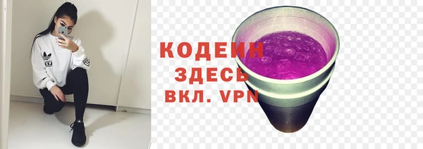 эйфоретик Баксан