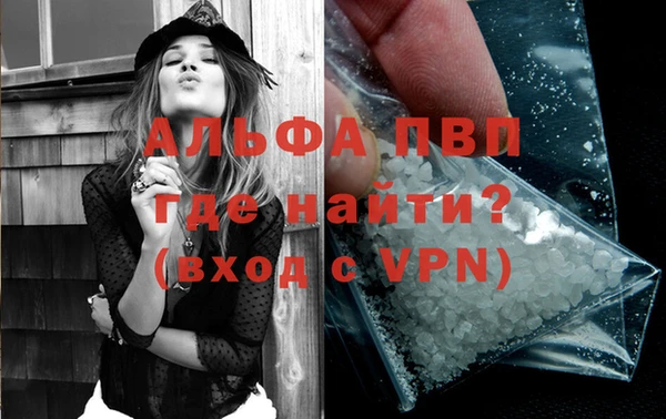 эйфоретик Баксан